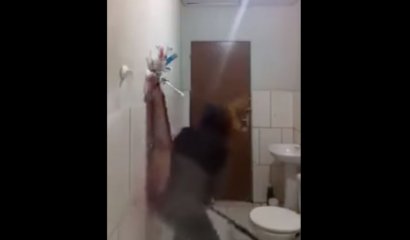 [Humor] Intenta cazar una rata junto a su gato y ambos terminan huyendo