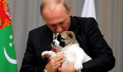 Putin endurece castigo por maltrato animal