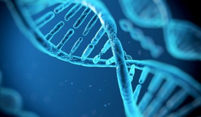 China se adelanta al mundo y ya edita genes humanos