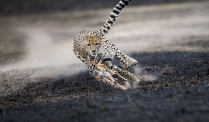 Esta es la elección de National Geographic de las mejores fotos del 2018 y son alucinantes