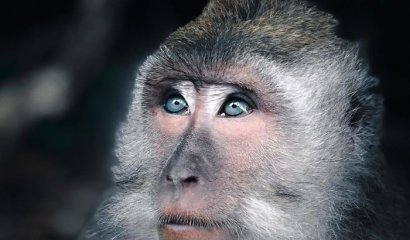 Las mejores imágenes de la competencia NatGeo 100 en Instagram (Galería)