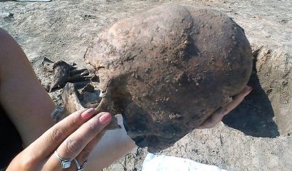 Revelan misterio sobre ancestrales cráneos de aspecto «alienígena» hallados en Croacia