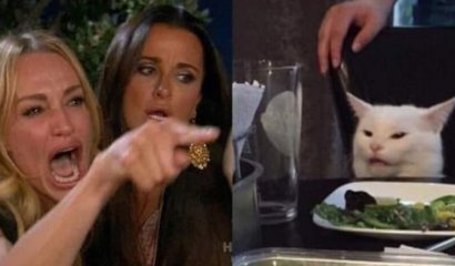 El gato en la mesa, ¿el Meme del año?