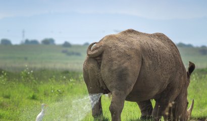 Las fotos más graciosas de la naturaleza del 2019