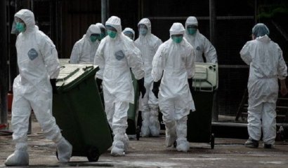De la peste negra al coronavirus: cuáles fueron las pandemias más letales de la historia