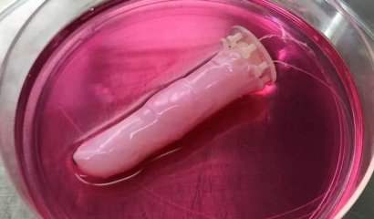 Científicos cubren dedo robótico con piel viva hecha de células humanas.