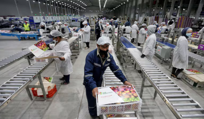 Visas laborales más que se triplican en el primer trimestre "por la agricultura"