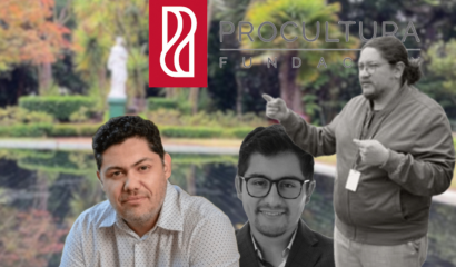 Lazos de amor y fondos públicos: la red de parejas en ProCultura