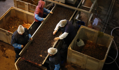 Exportaciones chilenas crecieron 6,3 % en mayo pese a aranceles impuestos por Estados Unidos
