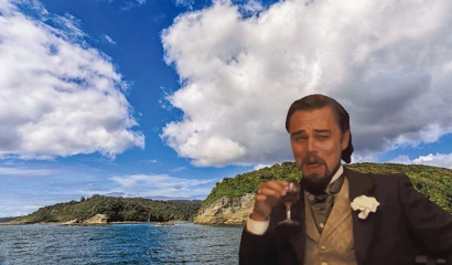 ONG vinculada a Leonardo DiCaprio habría comprado Isla Guafo en Chiloé